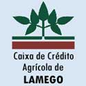 CCAM Lamego