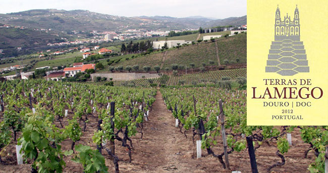 Vinhos-Terras-Lamego